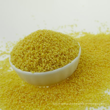 Mijo amarillo glutinoso orgánico de alta calidad Xiaomi mijo amarillo 2016 castrado